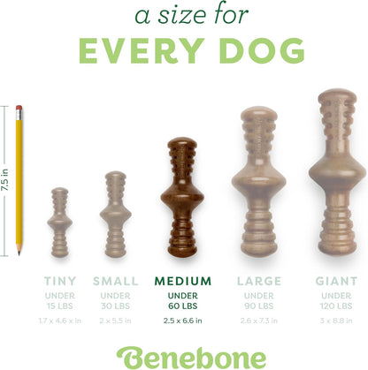 Zaggler Rolling Dog Chew Toy for Aggressive Chewers, Real Chicken, Made in USA, Medium